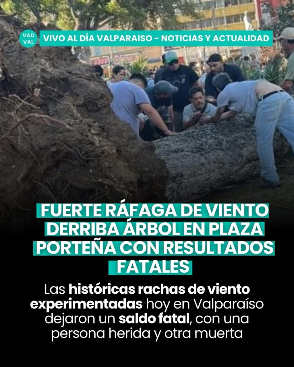Fuerte ráfaga de viento derriba árbol en plaza porteña con resultados&nbsp;fatales